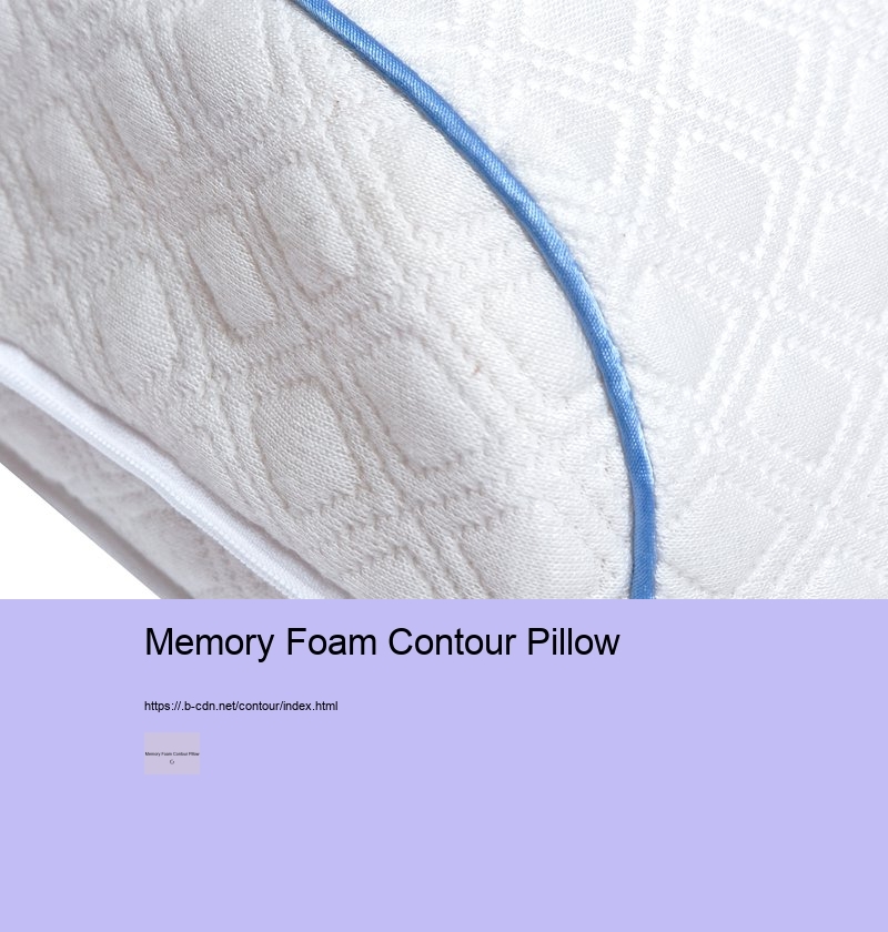 What Makes Memory Foam Contour Pillows Different from Other Types of Pillows? 
